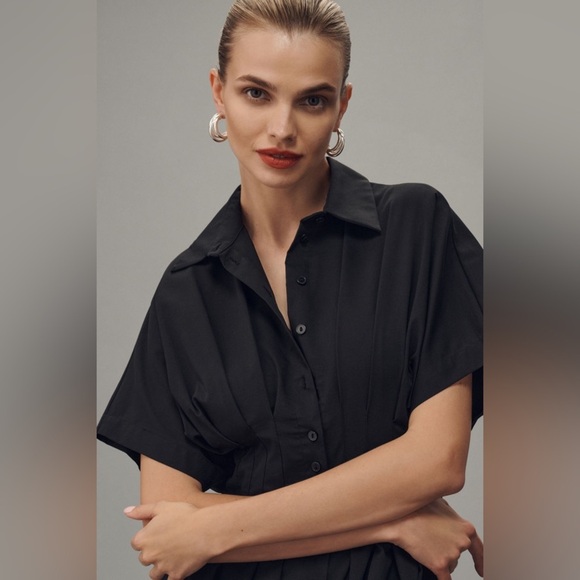 The Tobie Button-Front Pleated Shirt Dress - Picture 4 of 10